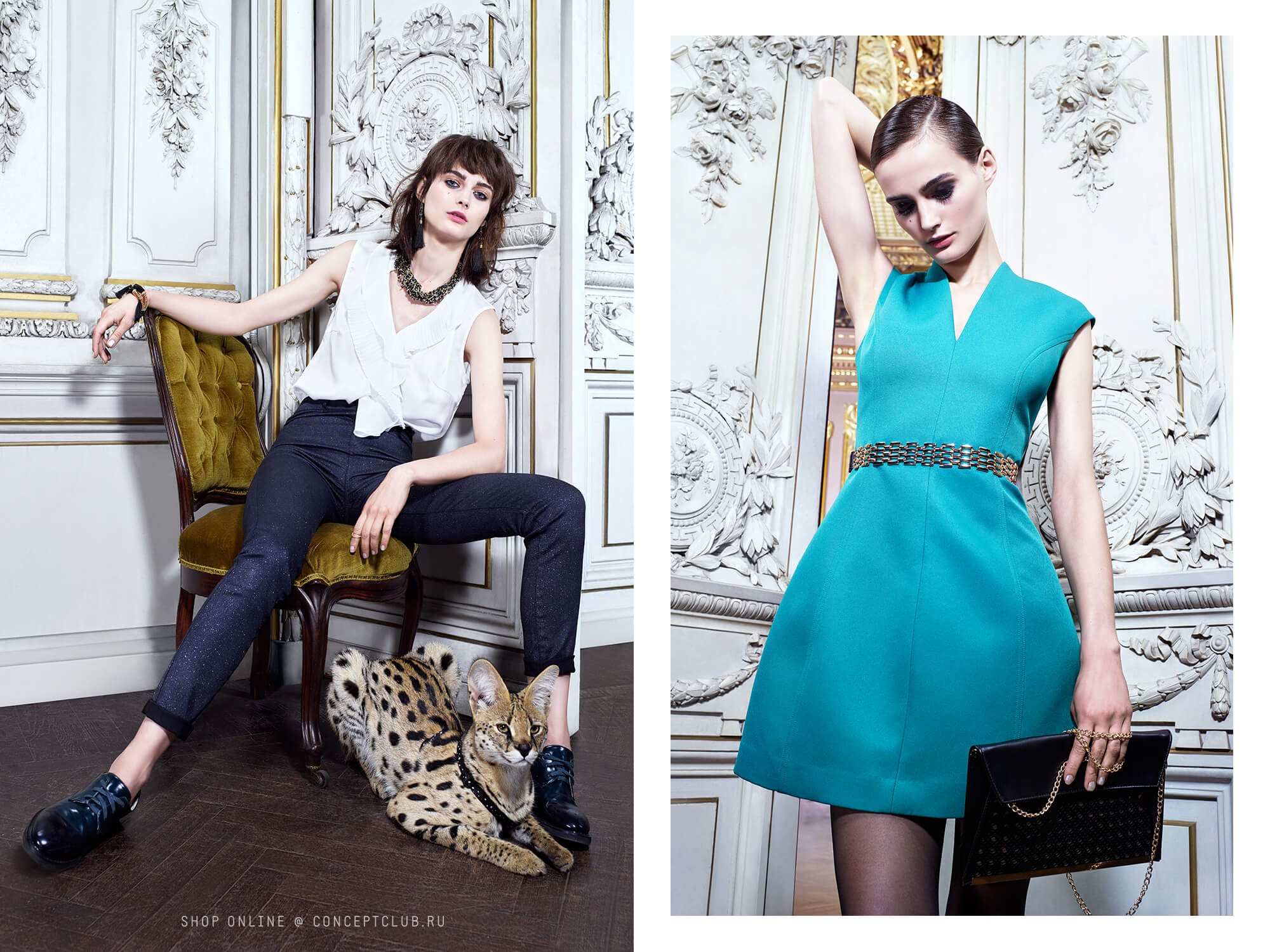 New Year Campaign '16 by Nikolay Biryukov